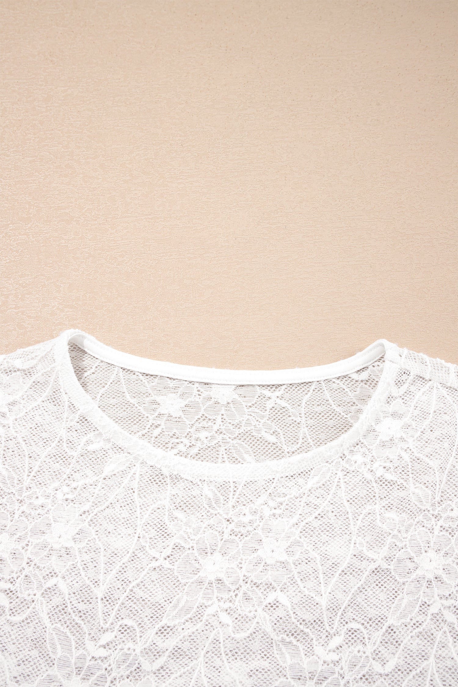 Sheer Lace Mesh Crew Neck Long Sleeve Top