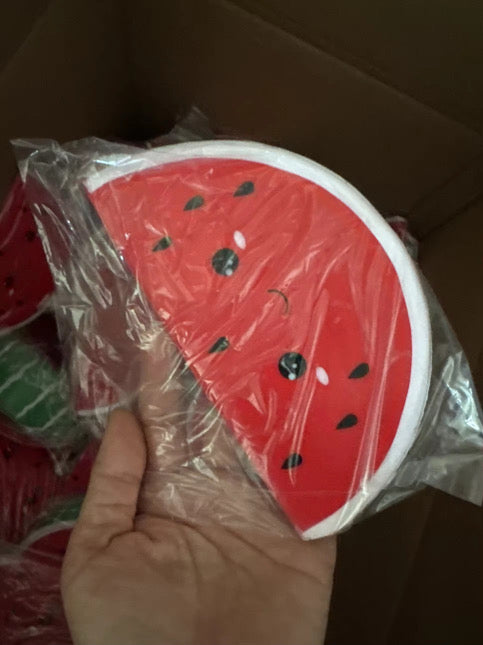 PreOder | Watermelon Squishy
