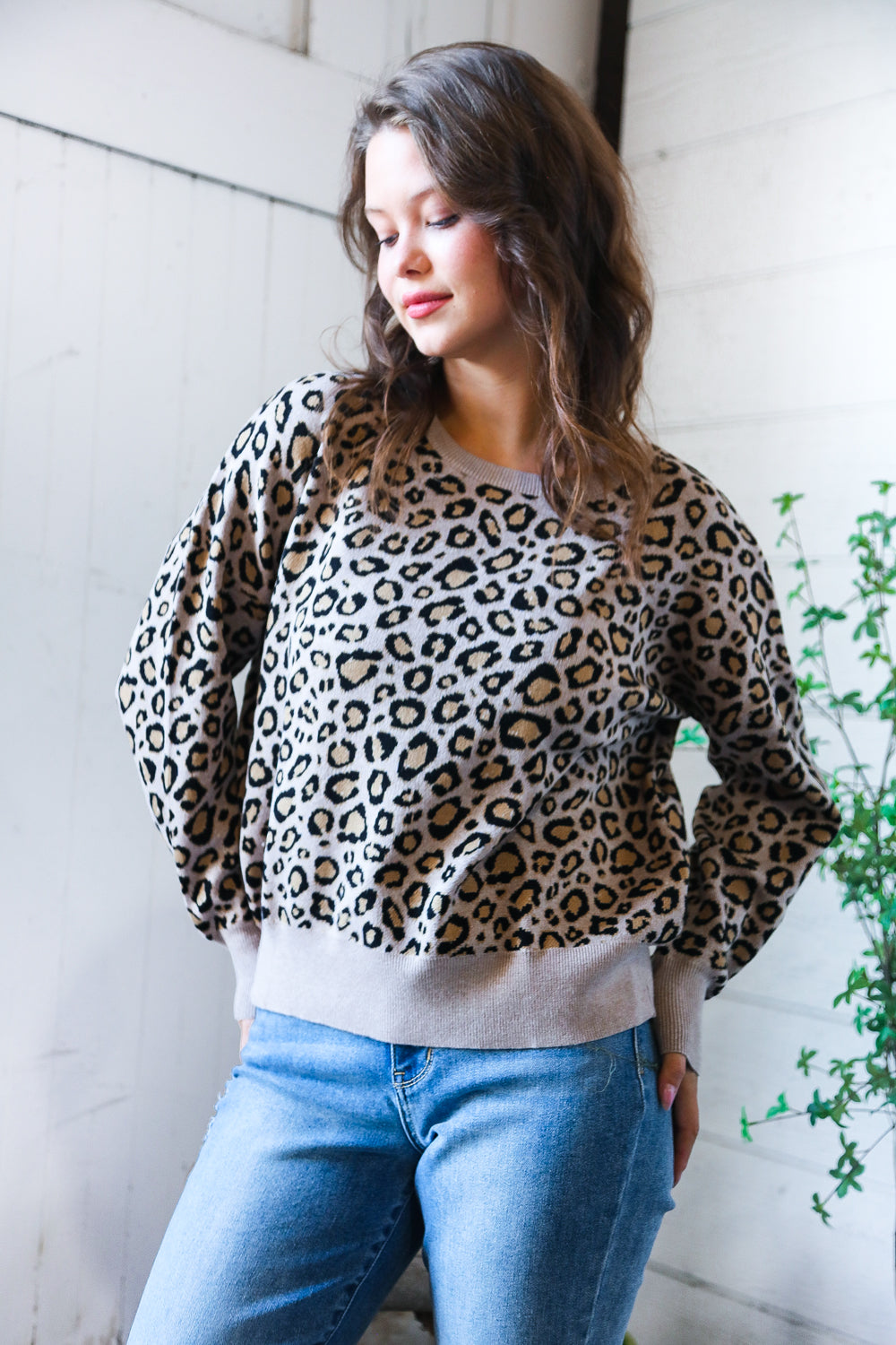 Savanna Style Leopard Pullover