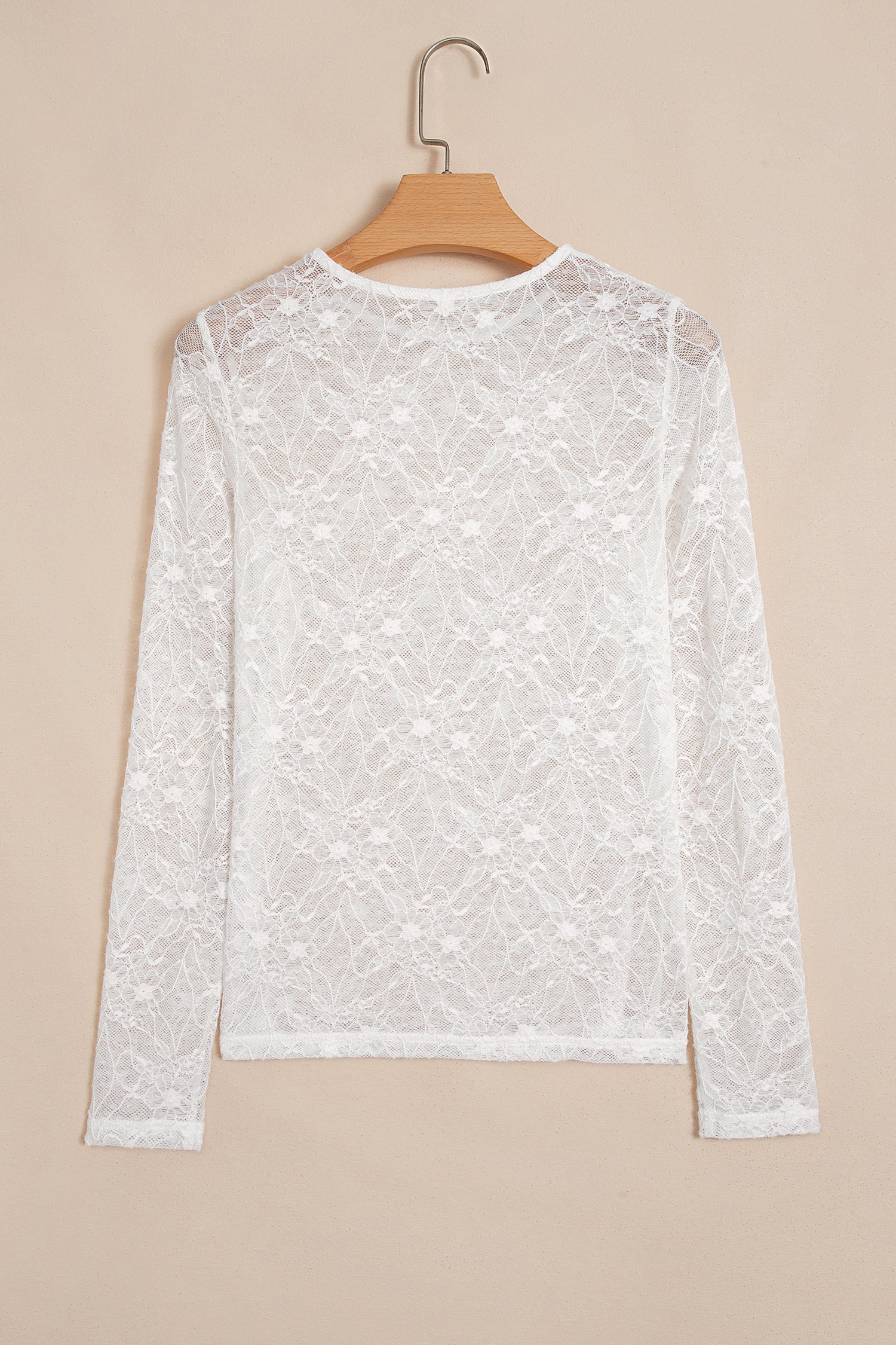 Sheer Lace Mesh Crew Neck Long Sleeve Top