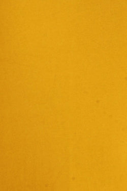 9640145_fa233094-bc4b-4d6f-b27c-d6866bf88705.jpg