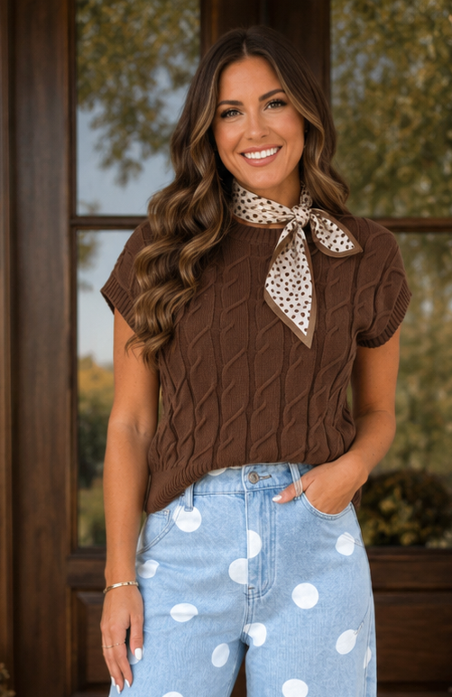 Dark Brown Cable Sweater WTW