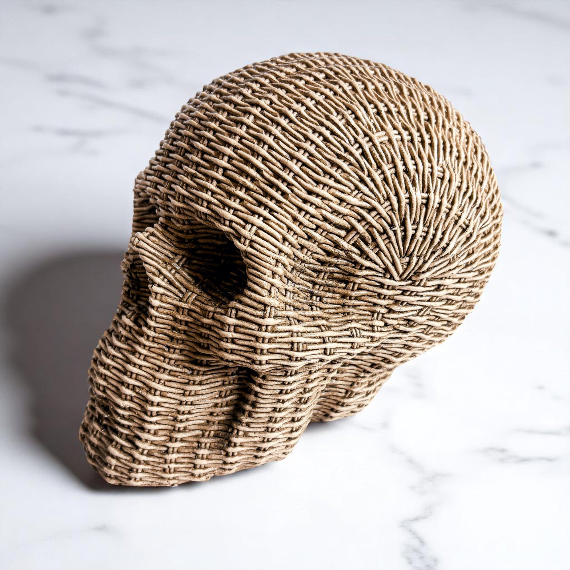 High End Halloween Decorations for Home
Farmhouse skull decor
Neutral Halloween decorations
Year-round skull decor