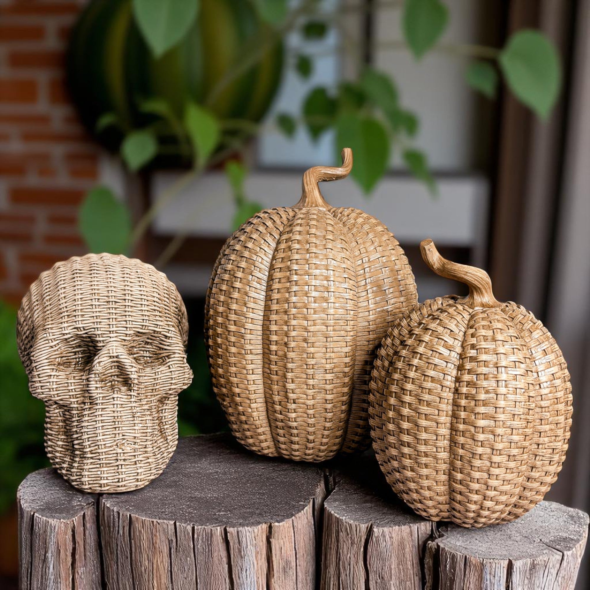 crack proof skull decor rattan basketweave style neutral brown white halloween fall gothic accent wicker texture
shatterproof skull heads rattan basketweave texture neutral brown white halloween fall decor gothic wicker style