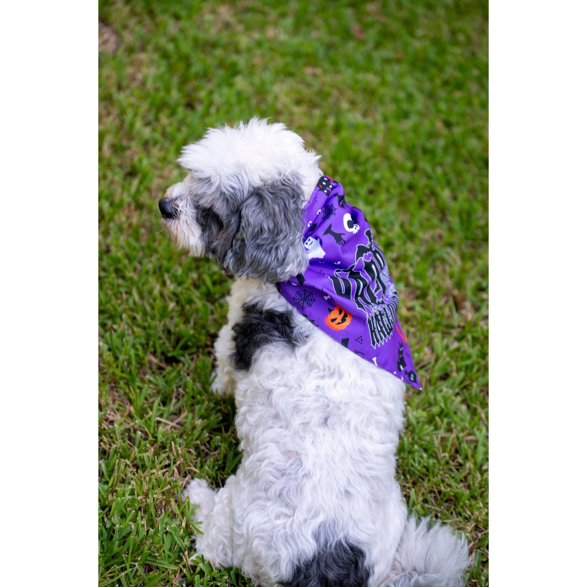 Ready to Ship | Halloween Dog Triangle Collar/Scarf*