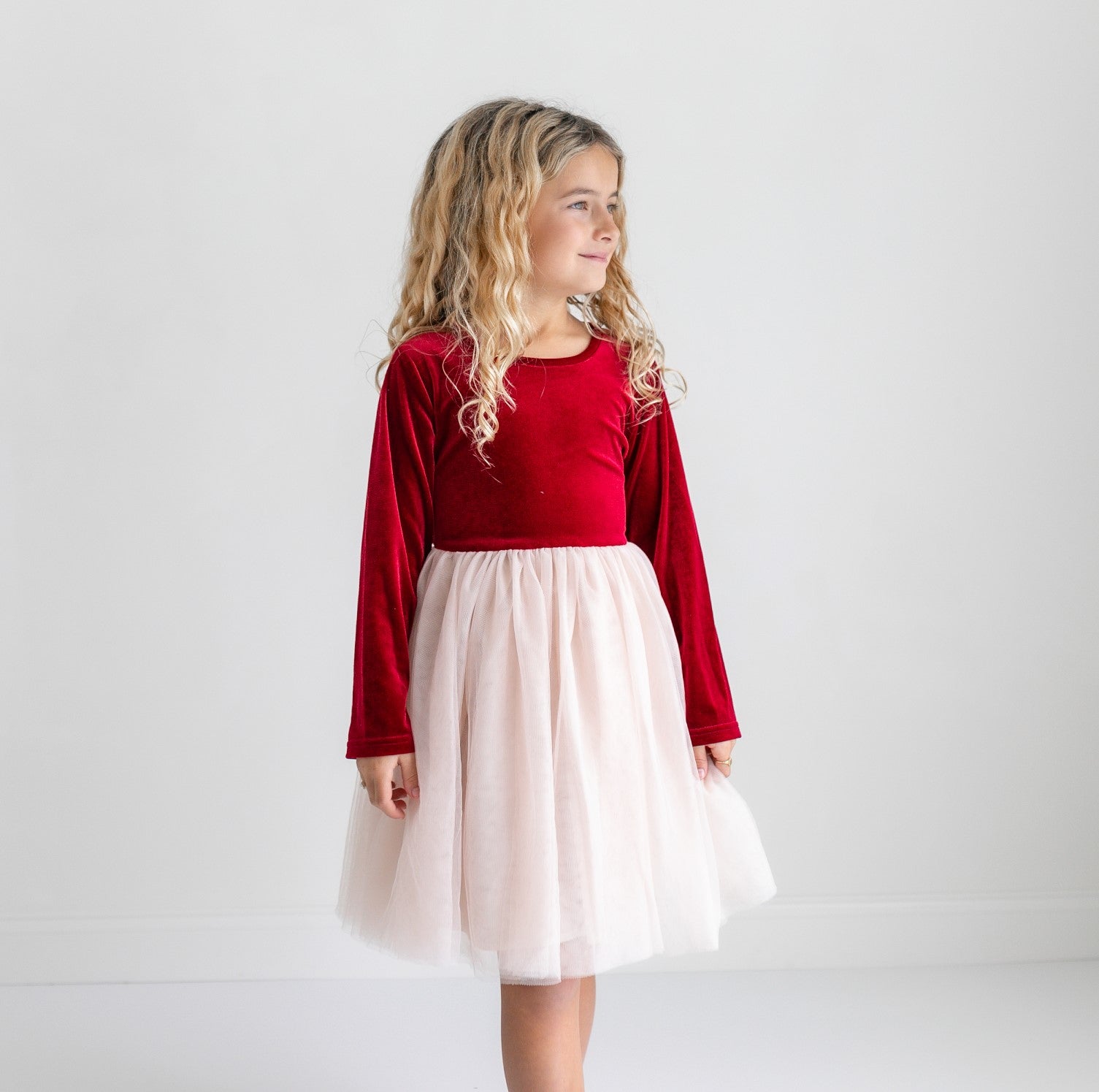 Red Velvet Tulle Dress