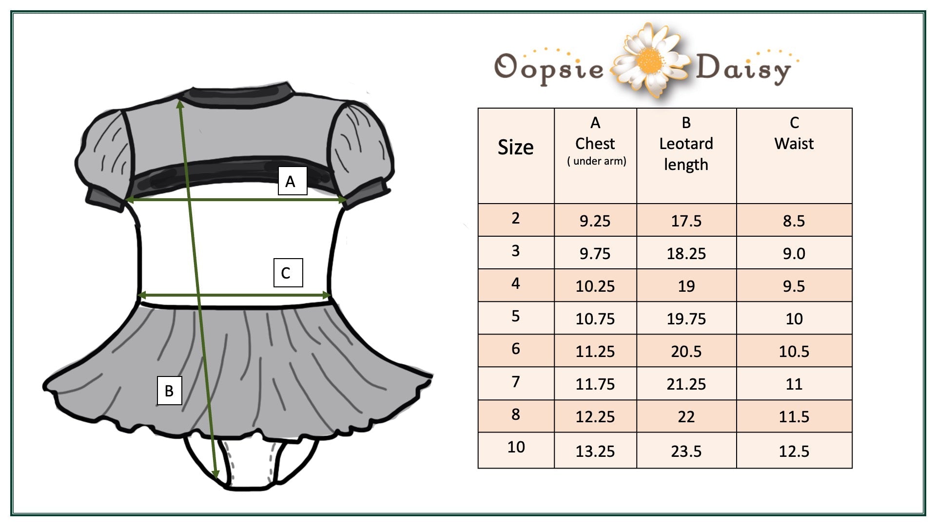 Black Sheer Skirted Leotard