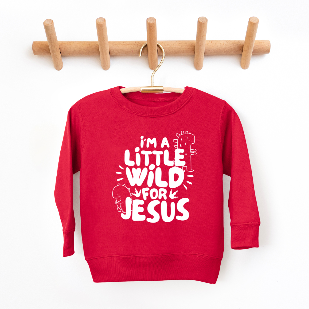 Wild For Jesus Youth & Toddler Sweatshirt