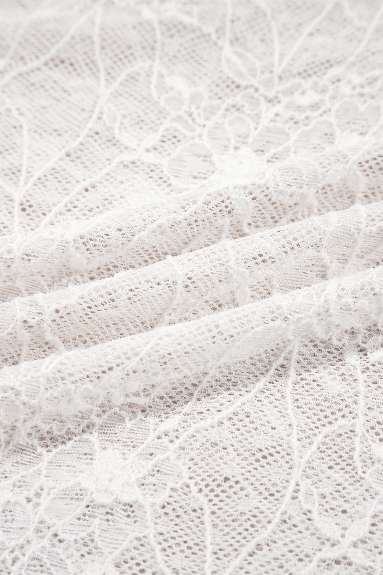 Sheer Lace Mesh Crew Neck Long Sleeve Top